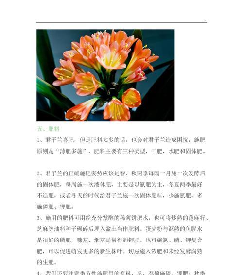 君子兰假花朵的制作过程和技巧？