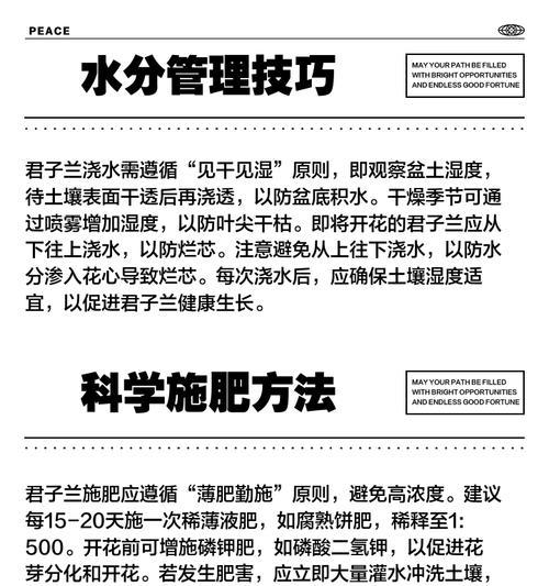 君子兰化叶子的时间是什么时候？如何应对这一现象？