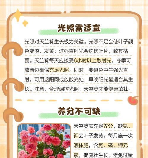 向日葵幼苗期叶子发黄有哪些解决方法？