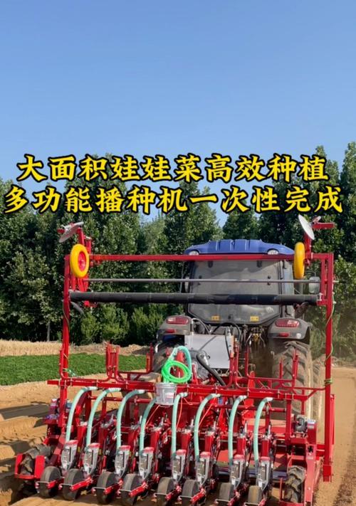 大娃娃菜的最佳播种时间是什么时候？