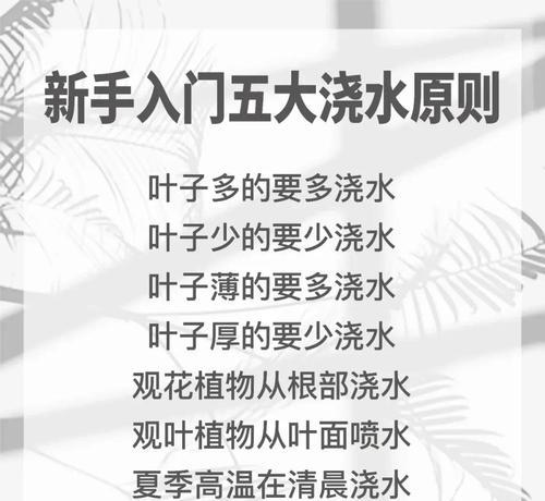 栽上秧什么方法浇水呢？如何正确浇水？