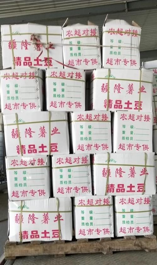 青海土豆播种的最佳时间是什么时候？