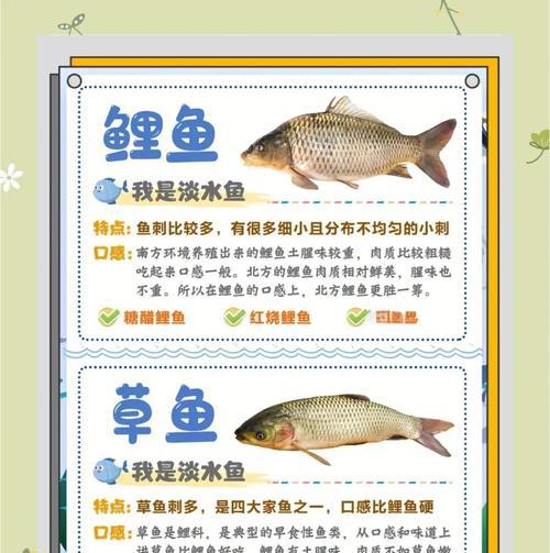 生态养鱼栽培技术的关键要点是什么？