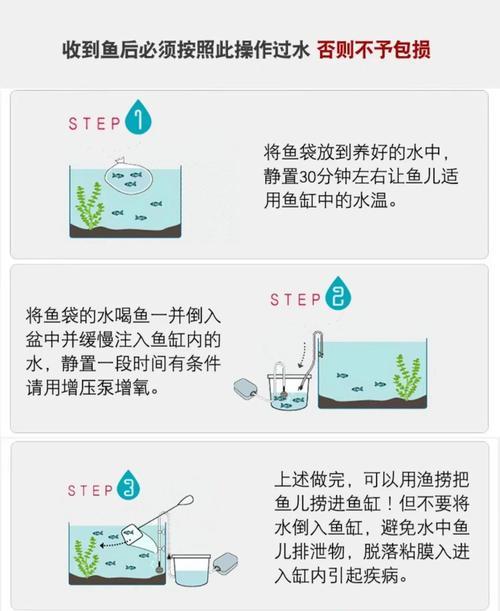 生态养鱼栽培技术的关键要点是什么？