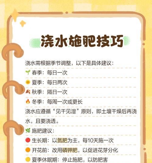 君子兰大棵的正确栽种方法是什么？