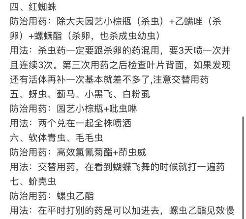 月季小甲虫怎么消灭最快？有效防治方法有哪些？