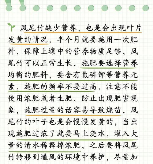 户外竹子叶子发黄干枯的解决方法？