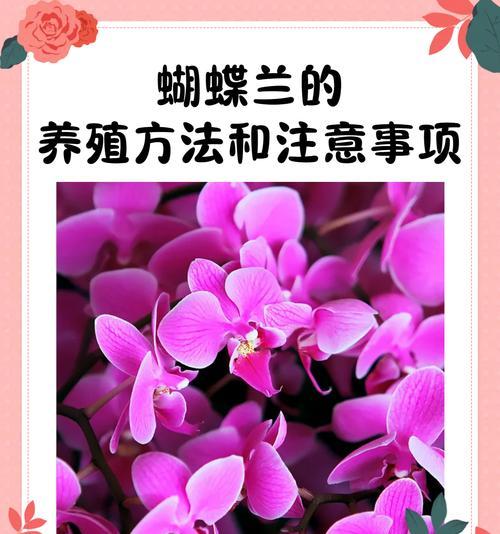 时来运转花卉正确的浇水方法是什么？