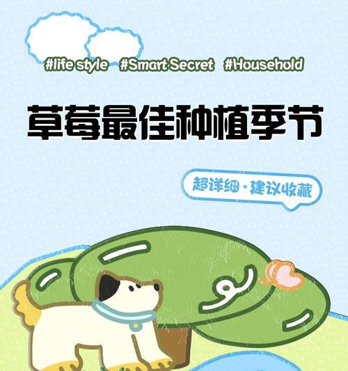 广东播种草莓种子的最佳季节是什么时候？