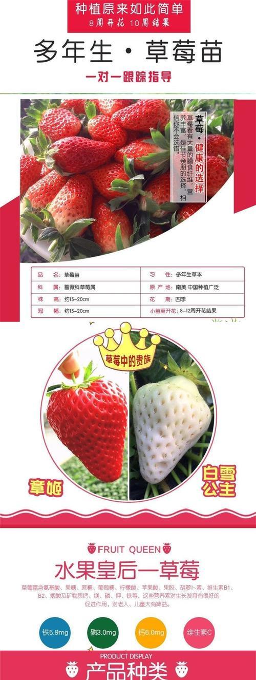 广东播种草莓种子的最佳季节是什么时候？