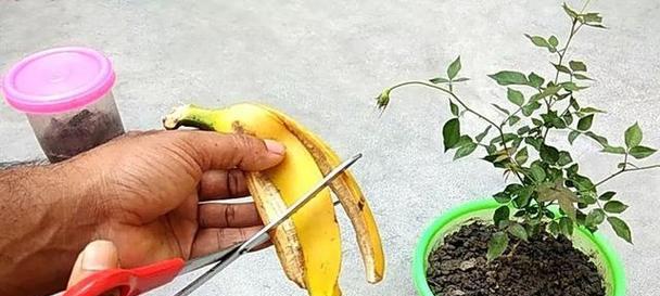 如何自制草料肥料配方？自制肥料的优势和制作方法是什么？