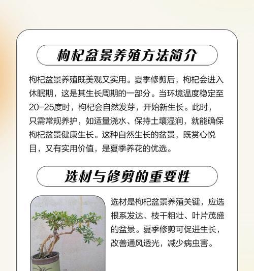 自己选的盆景怎么养护好？有哪些技巧和注意事项？