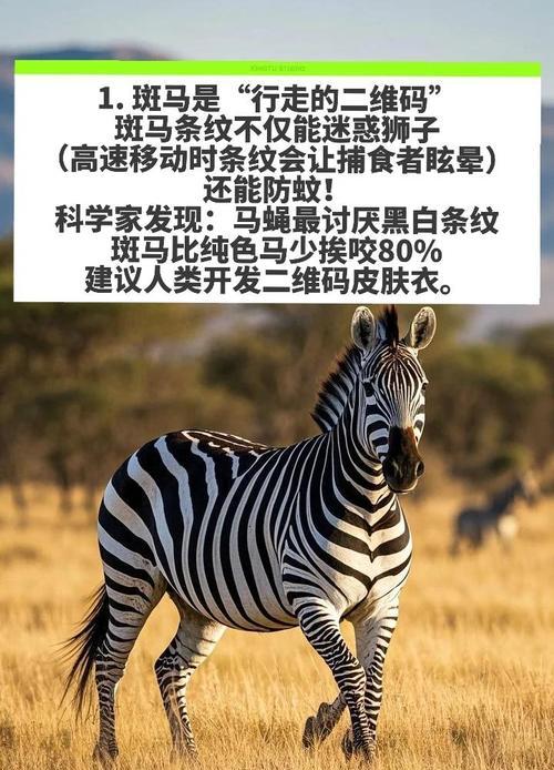 什么动物会播种子？自然界中种子传播者的秘密是什么？