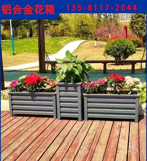 阳台花箱四季种植哪些花最合适？