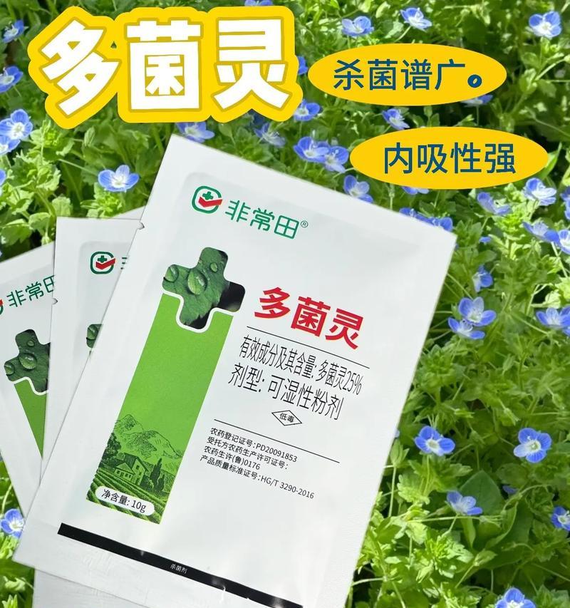 君子兰杀菌多菌灵兑什么效果最佳？