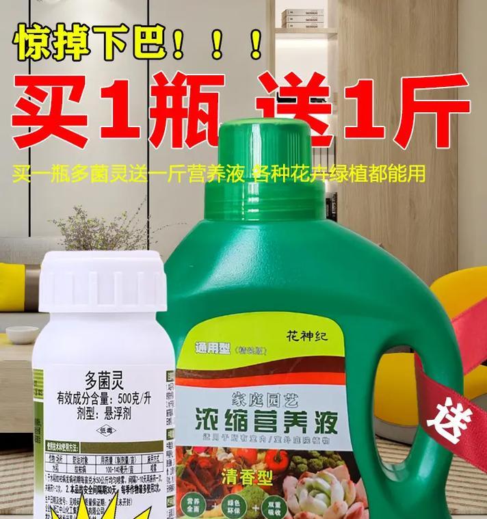 君子兰杀菌多菌灵兑什么效果最佳？