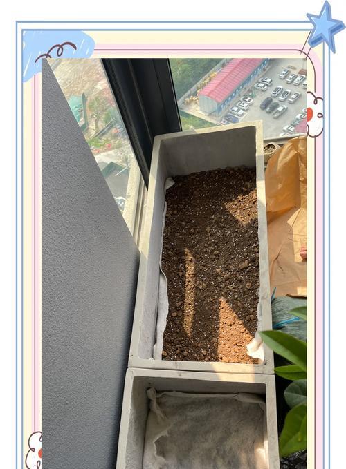 如何正确给玉瓮浇水？