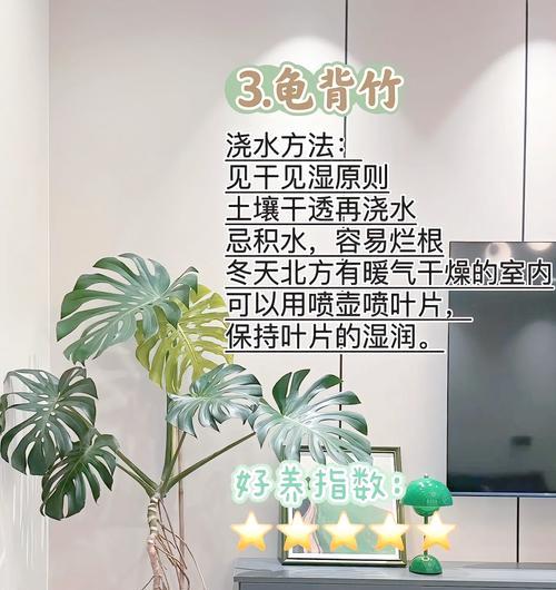 夏季植物暴晒浇水方法是什么？如何正确浇水？