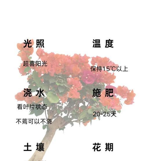 绿叶浅黄三角梅怎么修剪？修剪技巧和注意事项是什么？