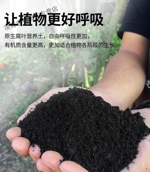 自制高温腐殖土肥料的方法是什么？