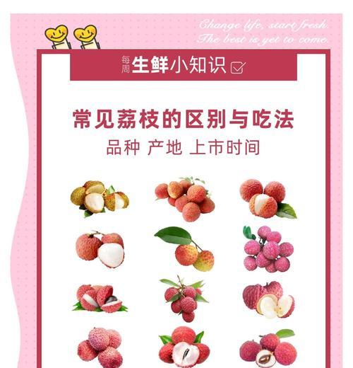 荔枝栽培的技术要点是什么？