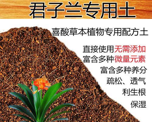 君子兰土里发现蛆虫怎么办？有效处理方法是什么？