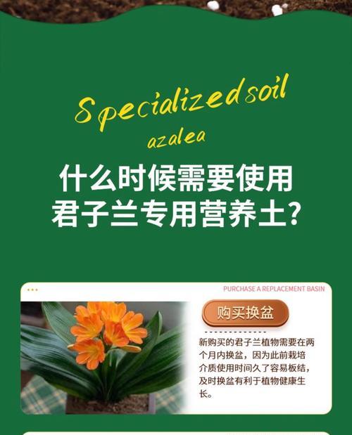 君子兰土里发现蛆虫怎么办？有效处理方法是什么？
