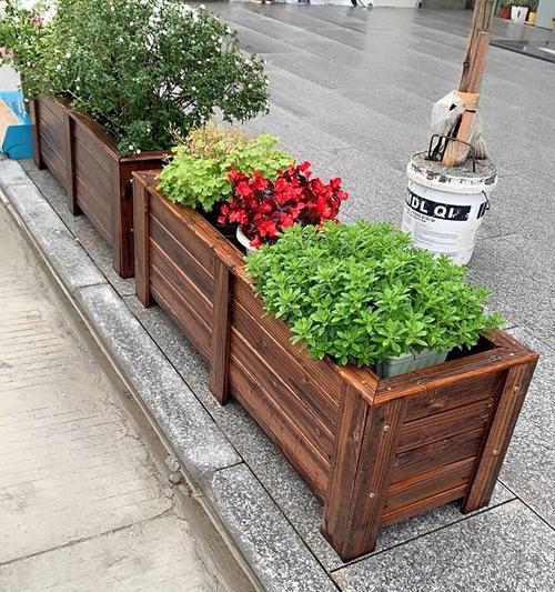 球根植物土虫问题如何解决？