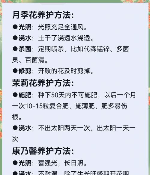木本植物在室内如何正确养护？
