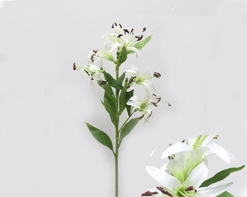 凤羽胶花的寓意和象征意义是什么？