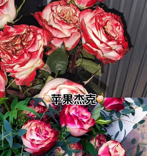 苹果花象征陷阱的原因是什么？花语背后的含义是什么？