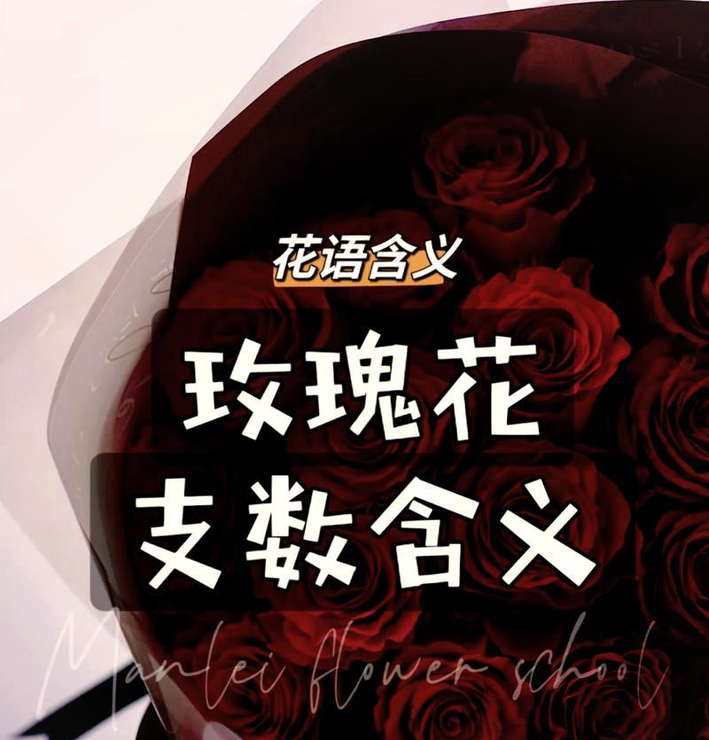 玫瑰花语全解析：不同支数代表的爱意变化是什么？
