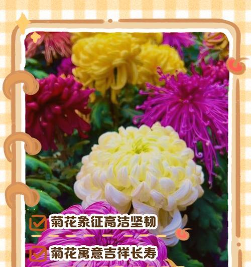 寓意美好的花有哪些？它们的花语和寓意是什么？