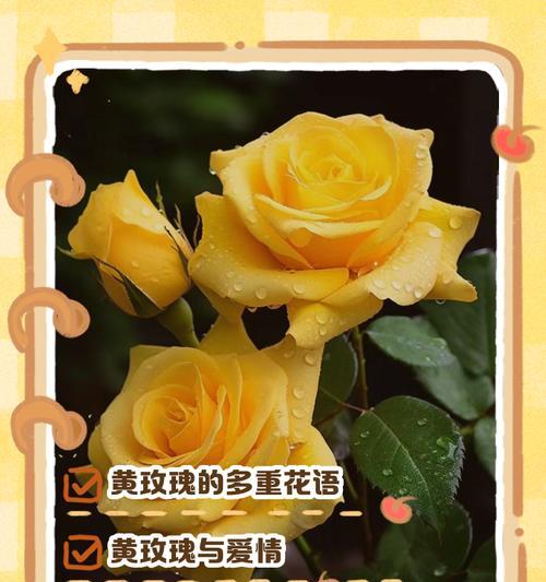 花语和寓意背后的故事有哪些？各种花的寓意故事是什么？