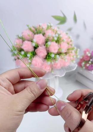 甘愿做配角的花语有何寓意？