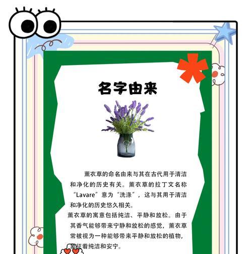 熏衣草的花语传递了哪些信息？