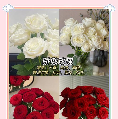 哪些玫瑰花寓意分开？它们的花语是什么？