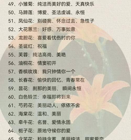 玫瑰花的两层含义是什么？象征意义有哪些？