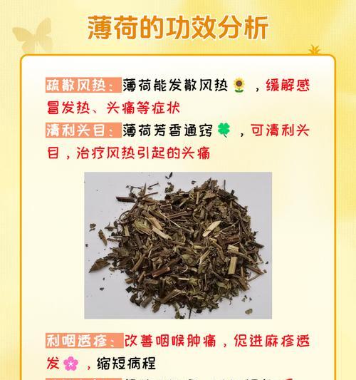 薄荷花语有哪些寓意？薄荷的种植和养护技巧是什么？
