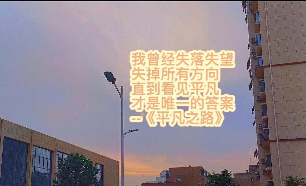 寓意萧条的花有哪些？它们如何传达悲伤与失落？