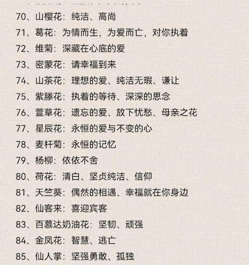粉白玫瑰的花语如何表达爱意？