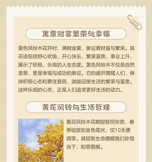 花的寓意包括哪些？如何了解不同花卉的象征意义？