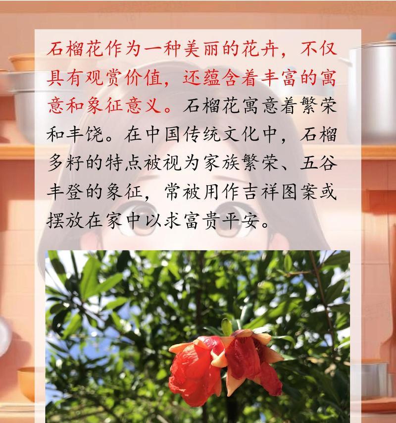 花的寓意包括哪些？如何了解不同花卉的象征意义？