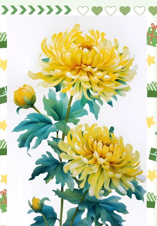 菊花的花语是什么？菊花代表了哪些寓意？