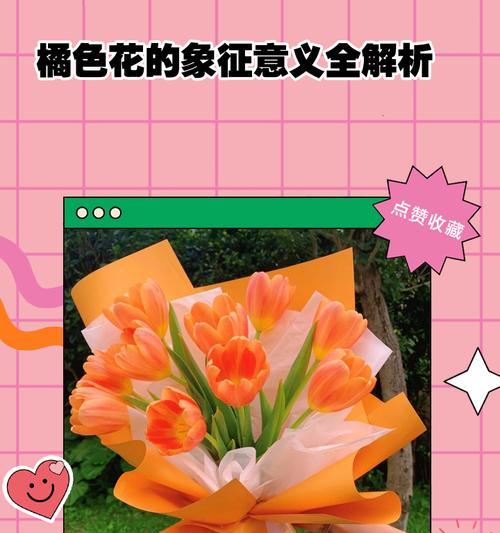 某种花的寓意是什么？寓意好又适合送什么场合？