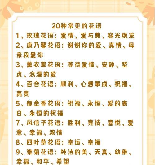 石竹兰花语象征什么？代表了哪些含义？