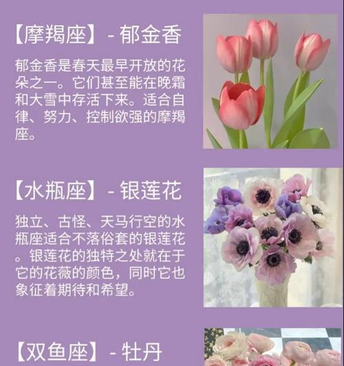 琉璃之花的寓意是什么？