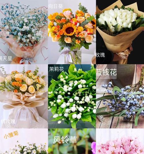 哪种花的花语意味着重逢？重逢的花语是什么？