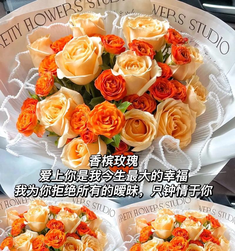 玫瑰香槟花语代表什么？