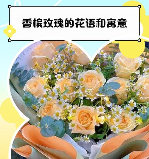 玫瑰香槟花语代表什么？